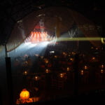 Fotograf: Tomas Håvik
www.dailyspots.se
+46705728119